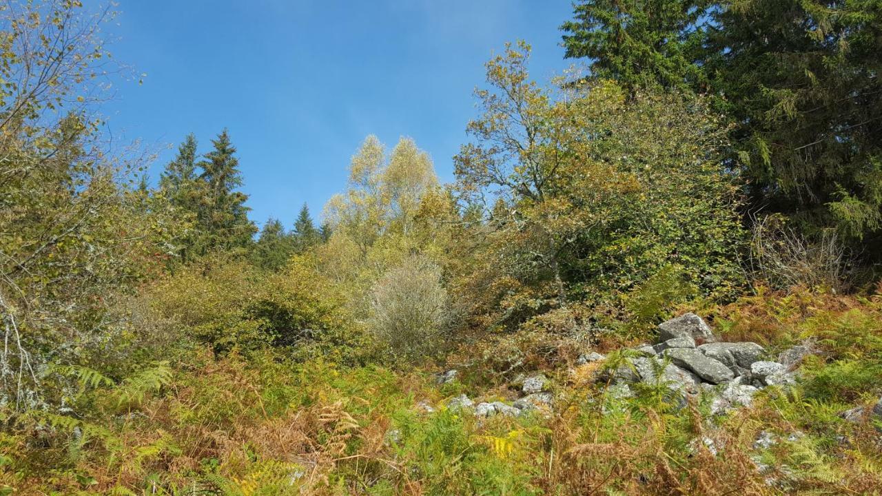 Gite De Sauviat 25 Chemin Du Grand Pacher Le Bourg De Sauviat 63120 المظهر الخارجي الصورة