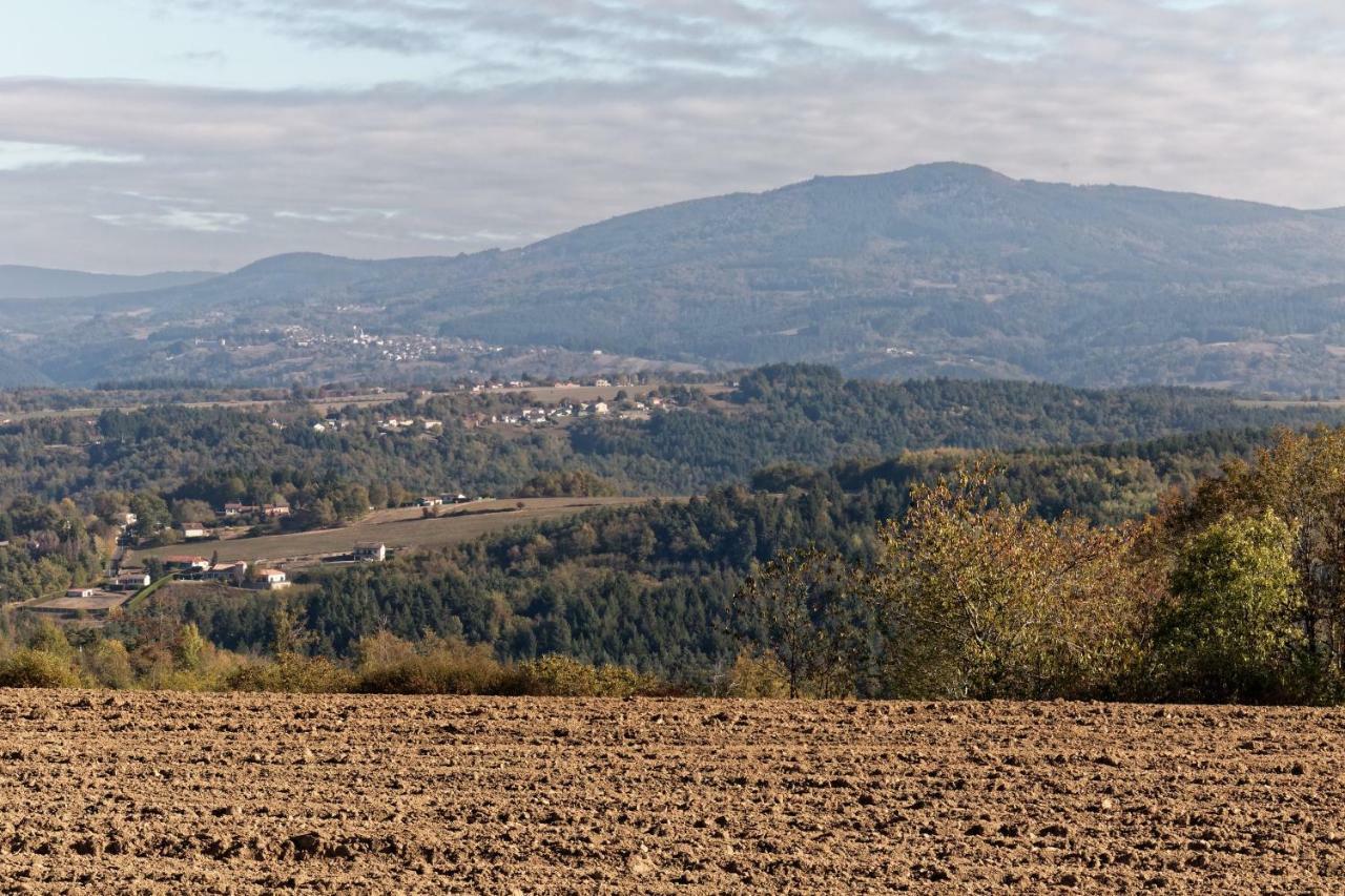 Gite De Sauviat 25 Chemin Du Grand Pacher Le Bourg De Sauviat 63120 المظهر الخارجي الصورة