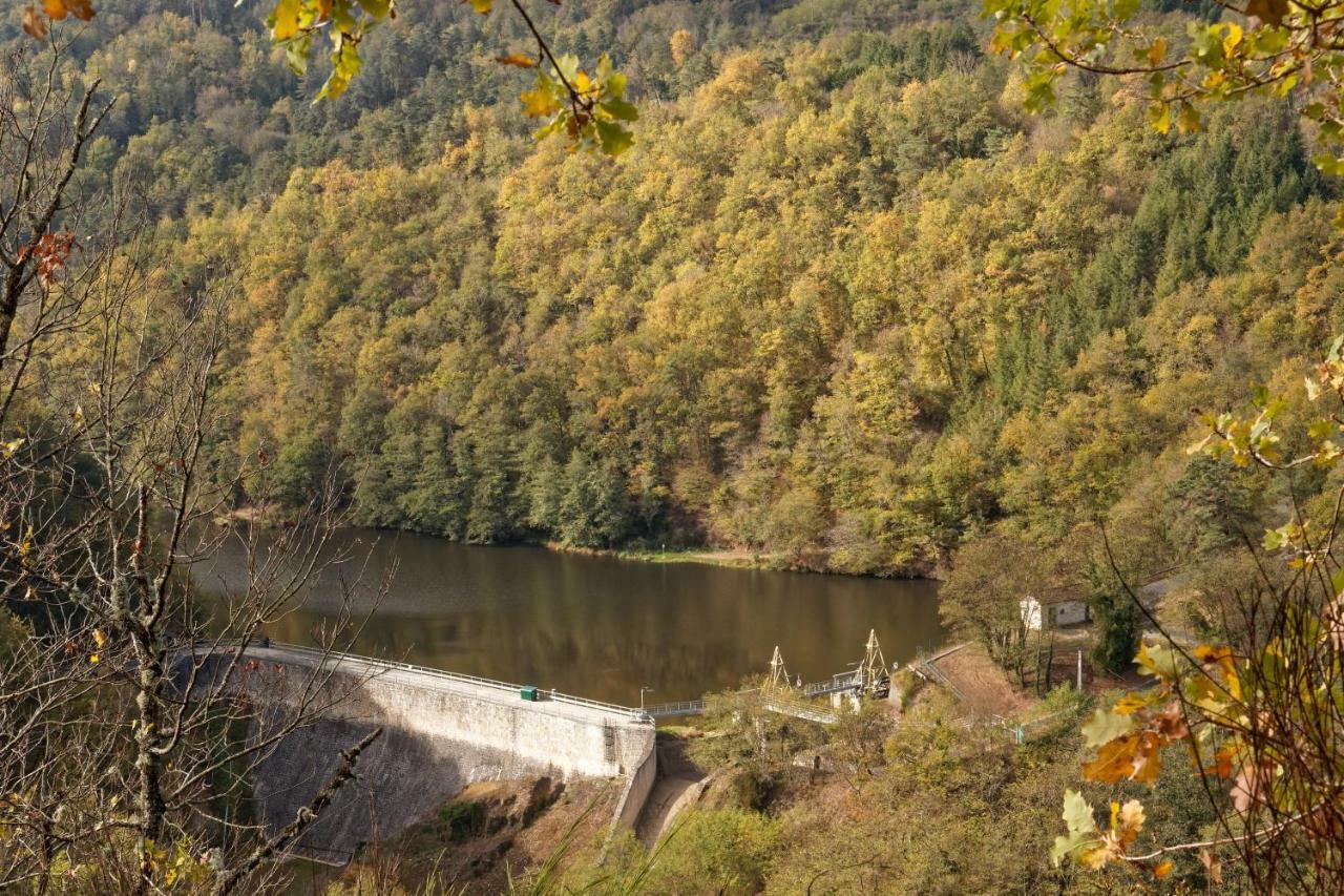 Gite De Sauviat 25 Chemin Du Grand Pacher Le Bourg De Sauviat 63120 المظهر الخارجي الصورة